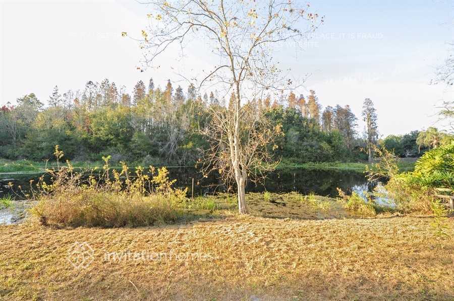 Building Photo - 12356 Witheridge Dr