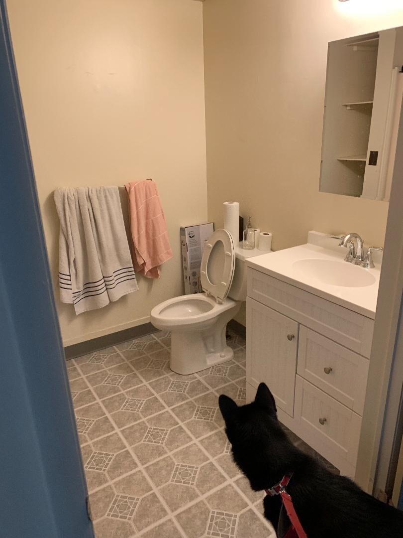 Building Photo - 181 Main St