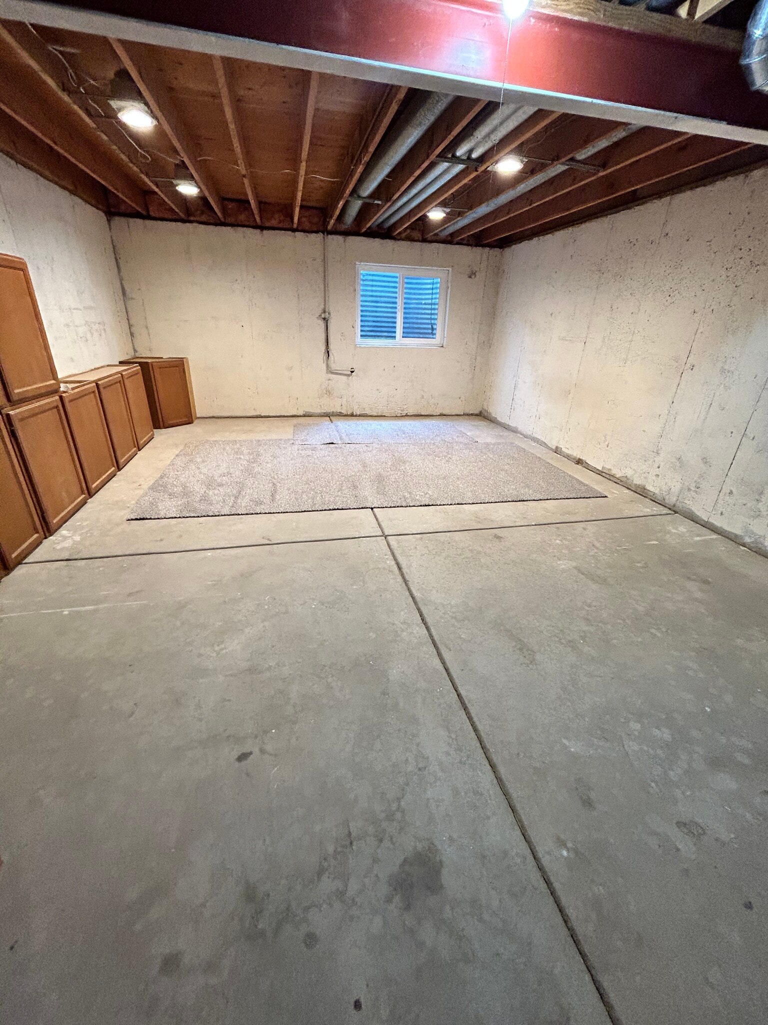 Basement - 11584 Community Center Dr