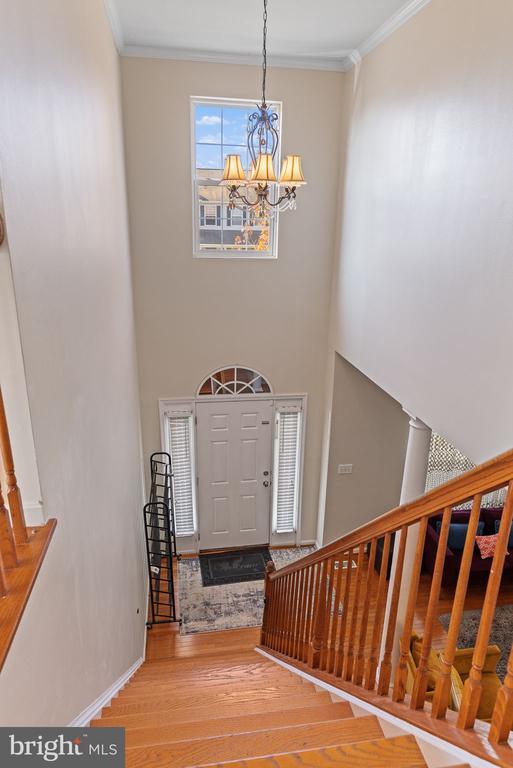 Building Photo - 36 Fletcher Dr