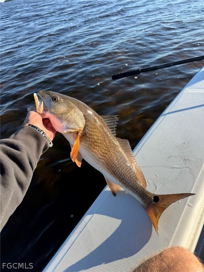 Building Photo - 4743 Pine Island Rd