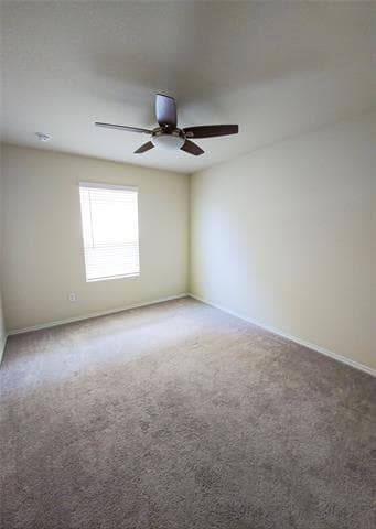 Building Photo - 824 Table Rock St