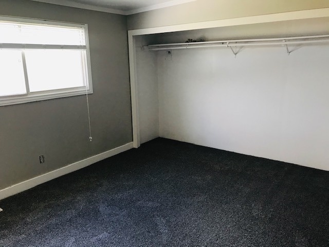 Building Photo - Home close to WSU with secluded yard