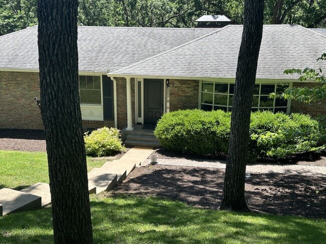Building Photo - Shy's Hill Road Rental