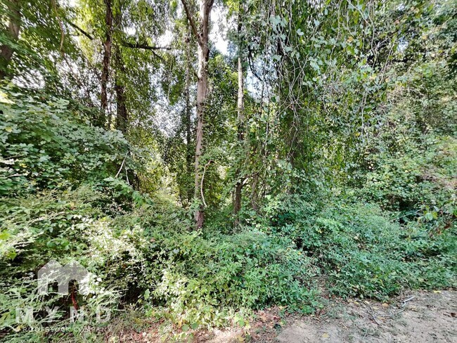 Building Photo - 173 Brandon Ridge Cir