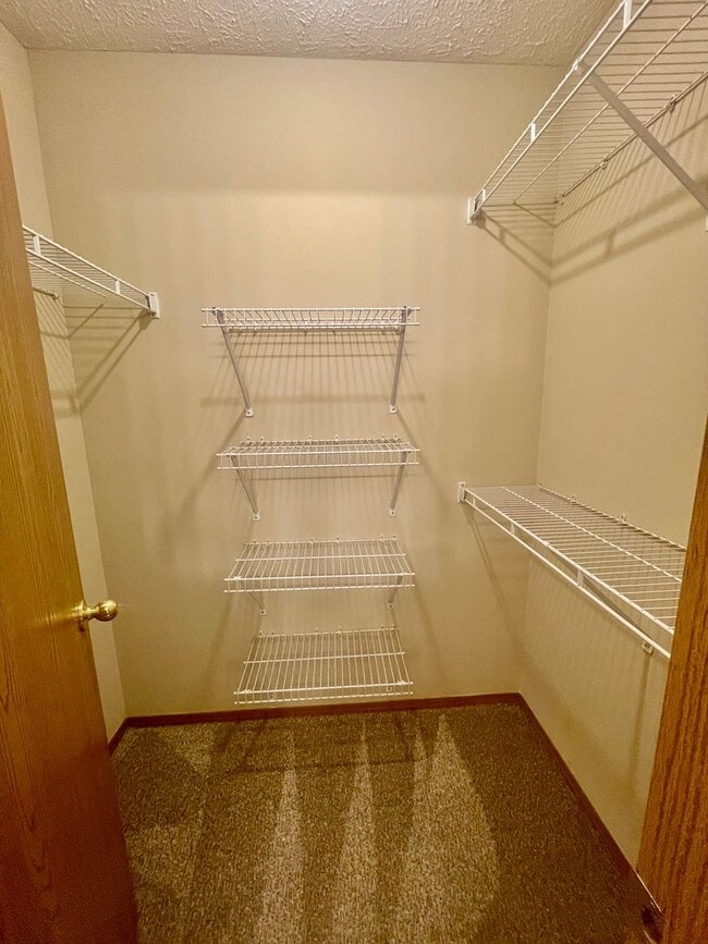 Building Photo - 4318 Penny Ct