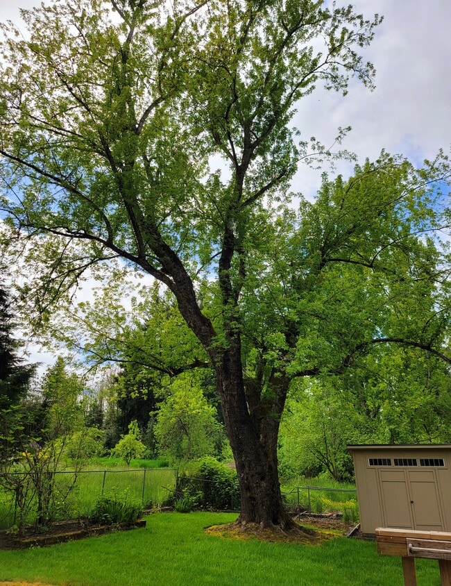 Building Photo - 11071 SE 242nd Ave