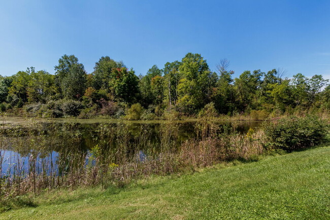 Building Photo - 7224 English Birch Ln