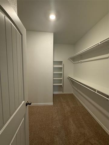 Building Photo - 4013 Amethyst Dr