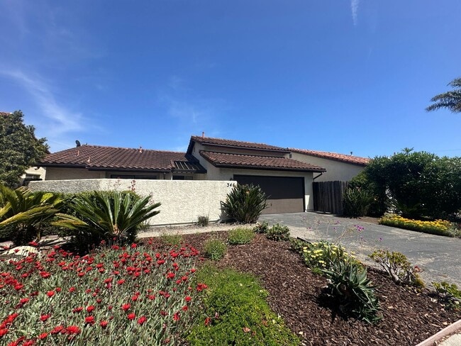 Primary Photo - Spacious 3/2 Mesa Home in Washington Schoo...