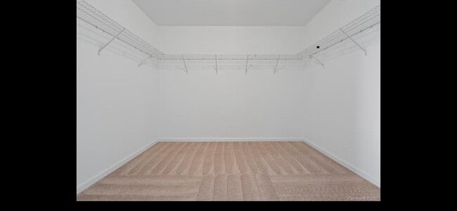 Building Photo - 2041 Fuschia Ct