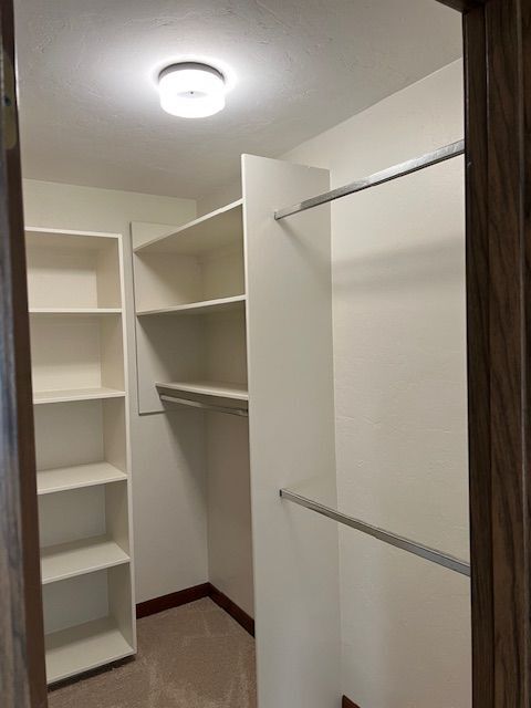 Building Photo - 2840 Blairstone Ct