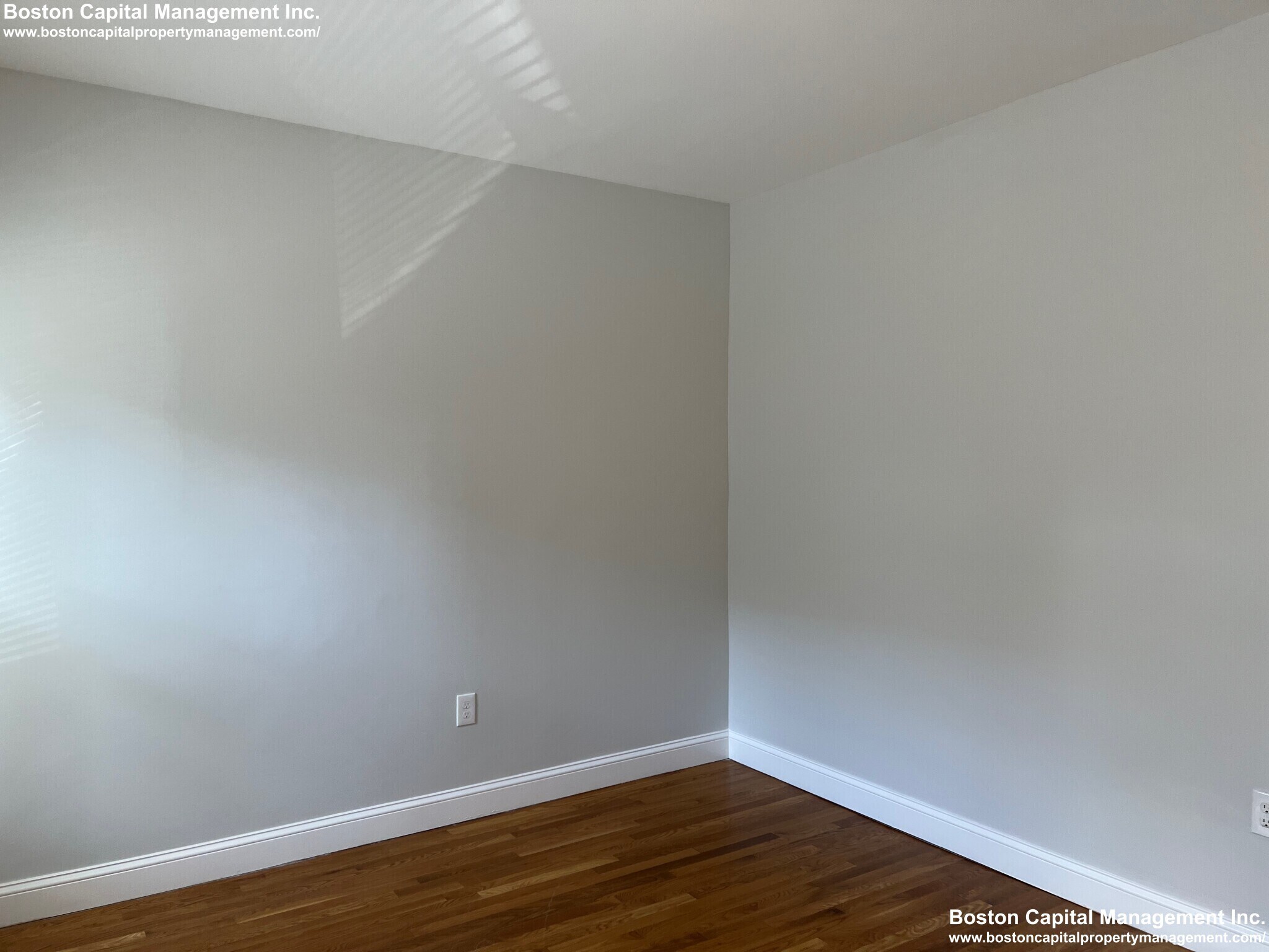 Building Photo - 179 Belmont St