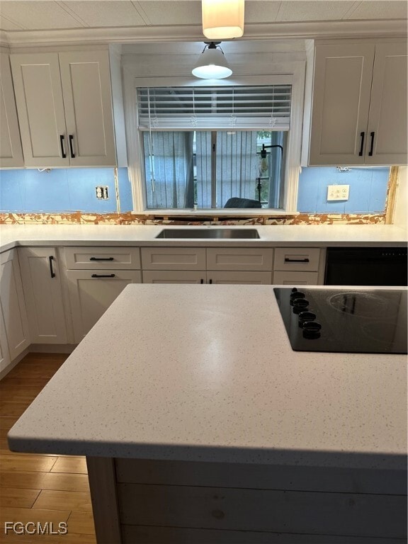 Building Photo - 148 Norfolk Pine Ln