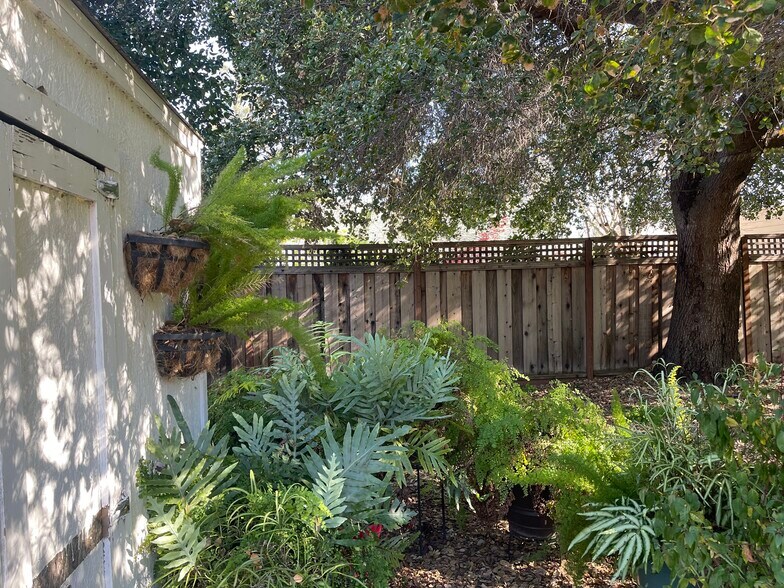 Building Photo - 15040 Los Gatos Blvd