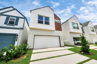 Building Photo - 3009 Pelon Cay Dr