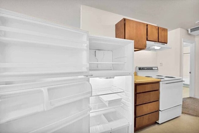 Building Photo - Cozy 1-Bedroom Apartment on a Quiet Clifton Street