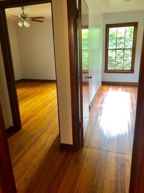 Building Photo - 2 BEDROOM HOUSE IN CENTRAL DENTON