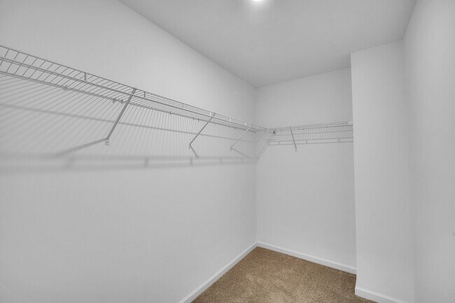 Building Photo - 1224 Maxwell Ct