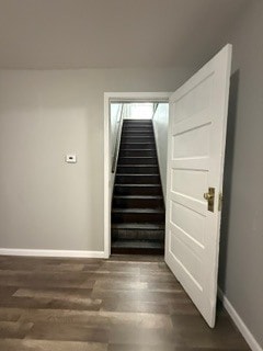 Stairs - 1514 A 10th Ave