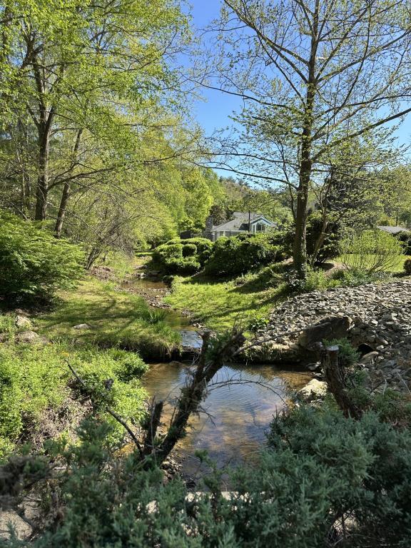 Building Photo - 14 Willow Tree Run