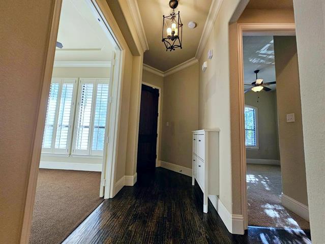Building Photo - 7047 Comal Dr