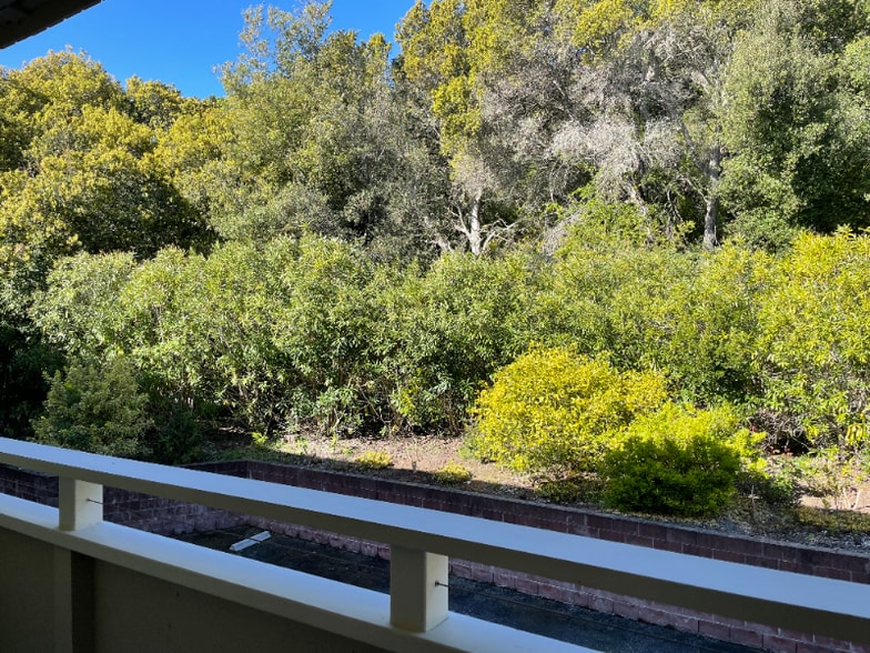 Building Photo - 3224 Palos Verdes Ct