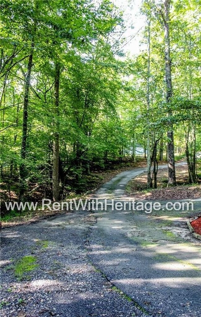 Building Photo - Charming Rustic Cabin Home on 2 Acres / Na...