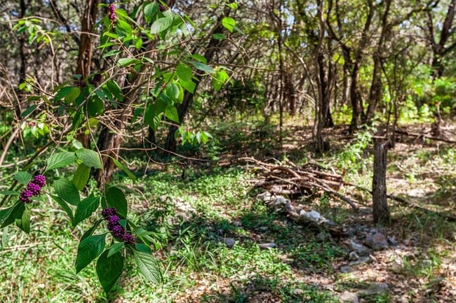 Building Photo - 4301 Stearn's Ln