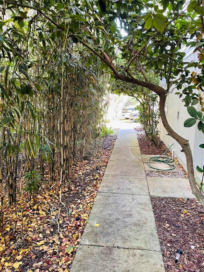 Building Photo - 203 E St