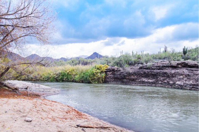 Building Photo - 3Bed/2Bath Home in Rio Verde/Desert Views! Ready for Immediate Move-In!