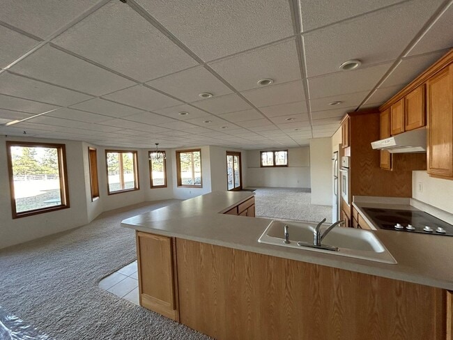 Building Photo - Spacious Daylight Apartment in Hamilton