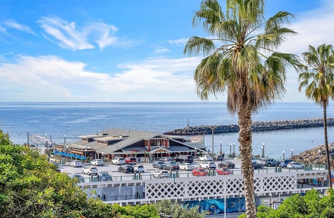 View from Ocean Club deck - 620 The Village