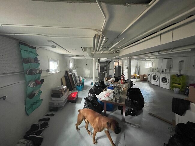 Building Photo - 1524 E Algonquin Rd