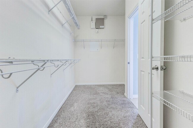 Building Photo - 2402 Sunlight Ln