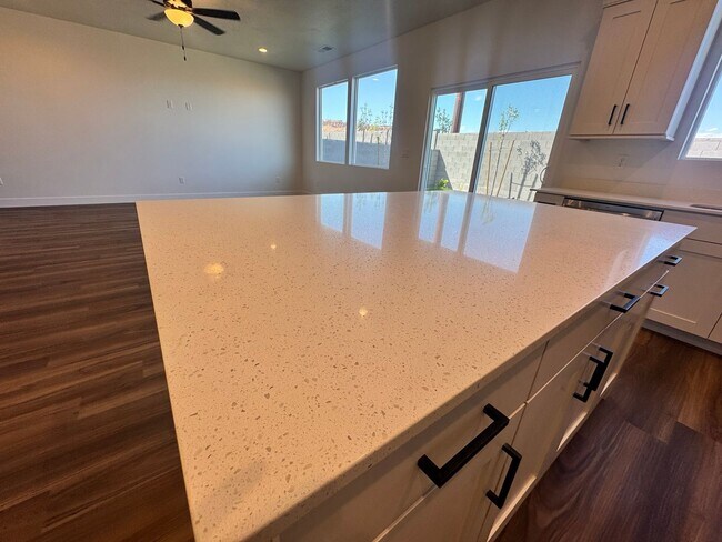 Building Photo - Brand New LARGE S&S Home!!