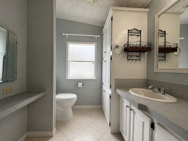 Building Photo - Large and Spacious 3/3 on near half acre NO HOA!