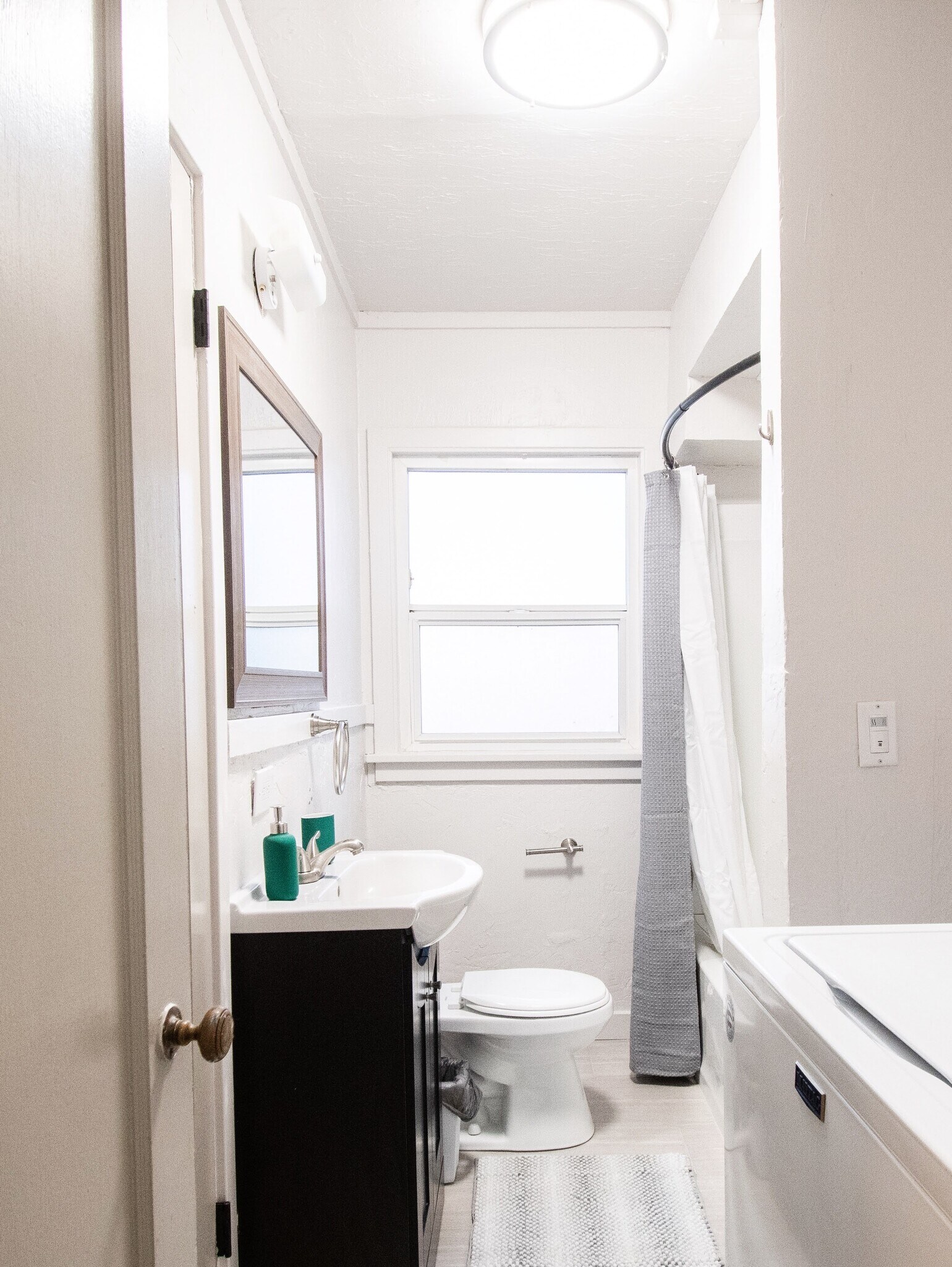 downstairs bathroom - 103 Harrison St
