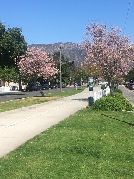 Chandler Bike Path. - 2518 W Chandler Blvd