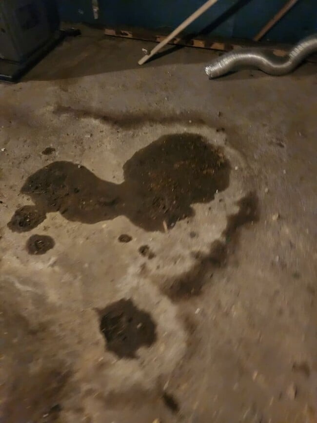 Building Photo - 413-415 N. 6th Avenue