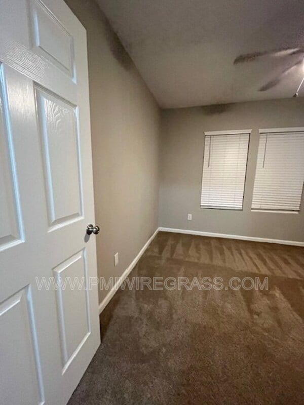 Building Photo - 347 Spruce Ln