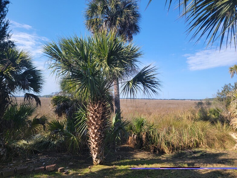 Building Photo - 137 Marsh Edge Ln