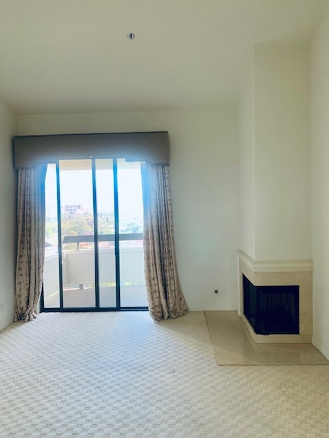 1st bdrm w/wbfp - 2142 Century Park Ln