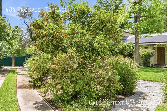 Building Photo - 484 Prospect Terrace