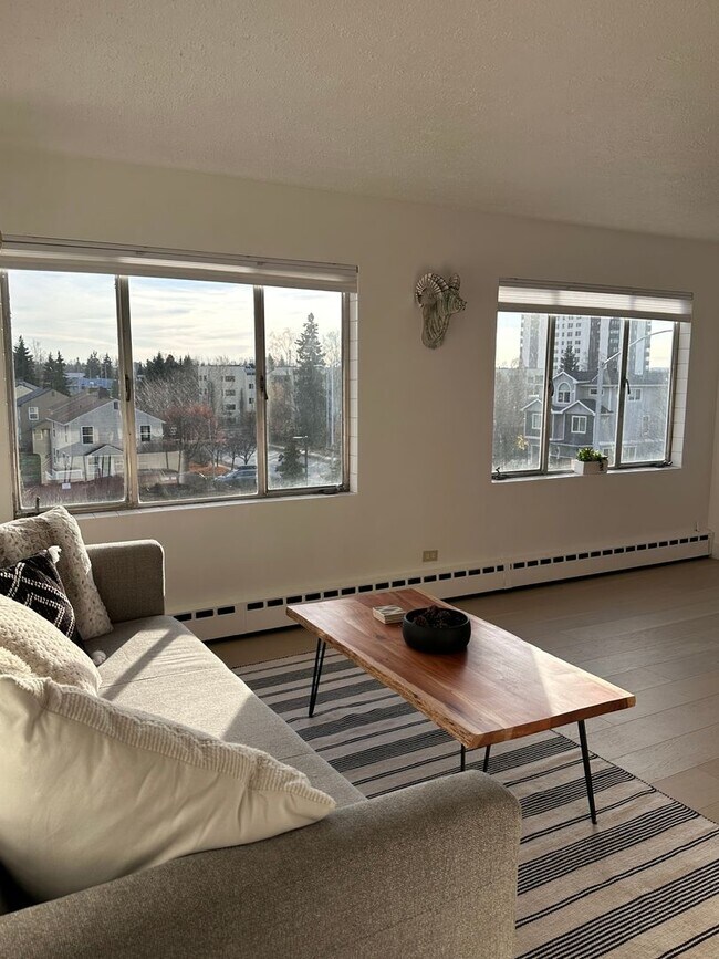Building Photo - Cute and Clean Furnished Condo