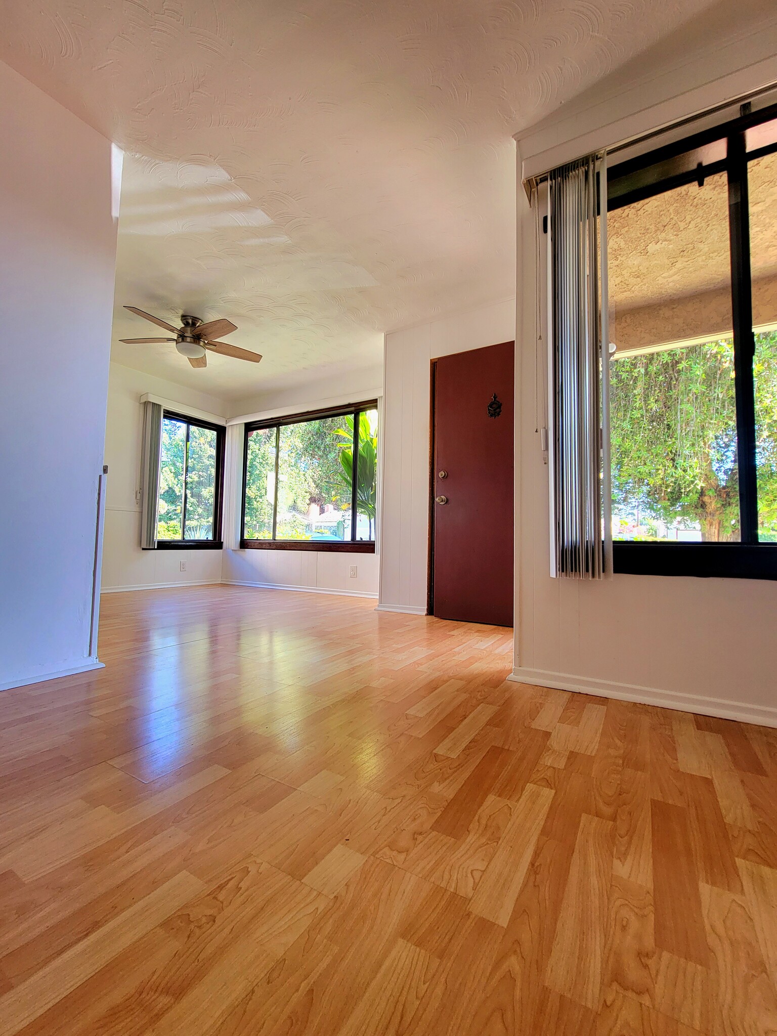 View into DINING room from Living room. Coat closet and entry in right center. 8' x 5' picture ?? - 12051 Alberta Dr