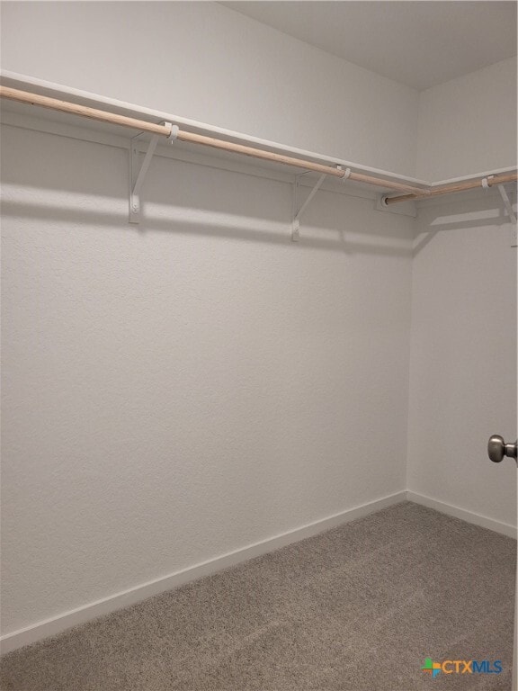 Building Photo - 3310 Noir Ln