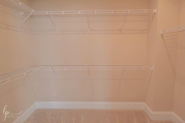 Building Photo - 1803 Wood Stork Dr