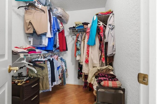 Building Photo - 5260 Grande Palm Cir