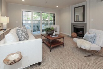 Building Photo - Beautiful and very Spacious 1BR 1BA Condo in Mountain View